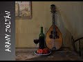 Arany Zoltán - Tarantella 