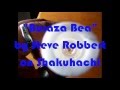 Buraza Bea Steve Robbert On Shakuhachi ブラザー ベア 尺八 Instrumental