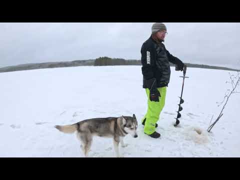 Verkkojen kokemista, ja turhaa höpinää