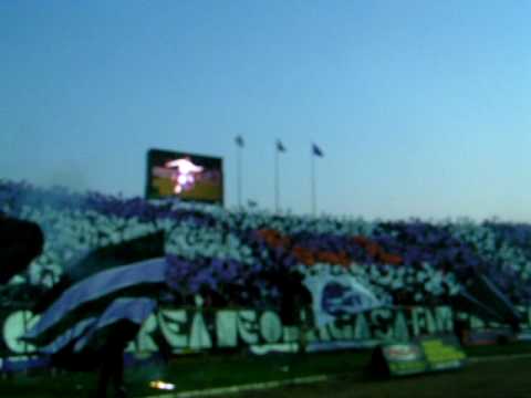 Coregrafie Poli - Steaua sezon 2004 - 2005