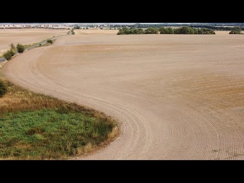 168. Feldexkursion: frühe Getreideaussaat - NU Agrar, 26.08.2020