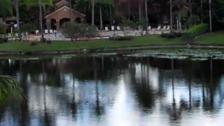 Bank Owned Foreclosure 2051 Renaissance Blvd,Miramar Fla