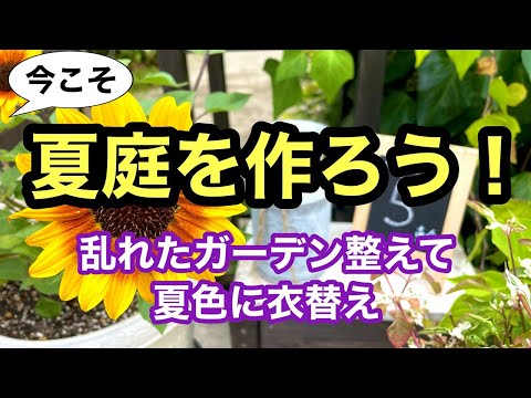 composition-jardinière-été-fleurs-jaunes-violettes-rouges