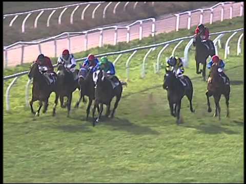 Galoppo 16/01/2015 - 5° corsa