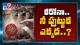 కరోనా… నీ పుట్టుక ఎక్కడ? – Exclusive