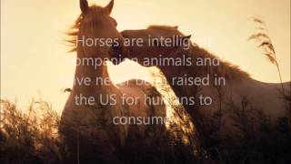 Save America&#39;s Horses! (Breathe Me by Sia)