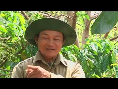 Phân bón Việt Nhật cho cây Sầu Riêng và Bơ (Phần 1/3)