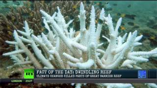 Parts Of The Barrier Reef Are DEAD