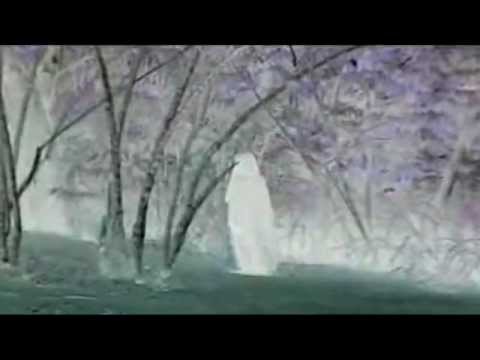 O Manto video