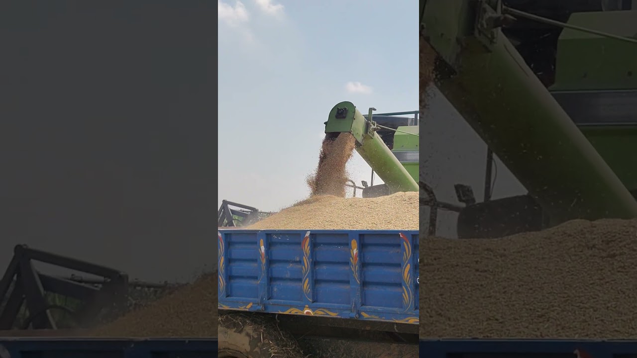 ❤️‍🩹🌾 #vivasayaarvalargal #shortvideo #newreel #onwvoice #8millionviews#viralshort #villagelifestyle