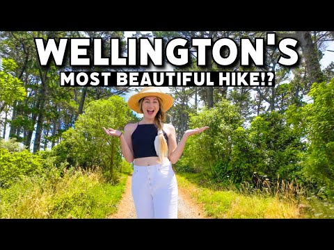 This is BEAUTIFUL! Hiking Wellington's Southern Walkway | New Zealand