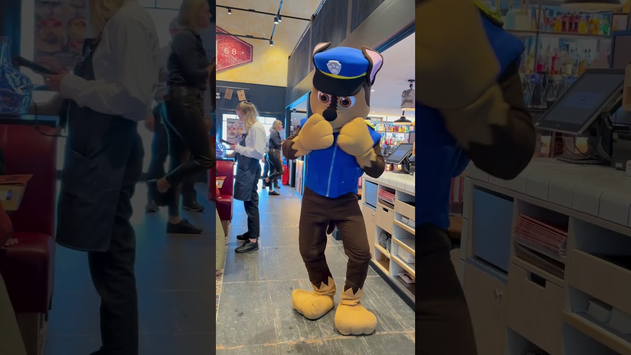 Chase Mascottes à domicile pour anniversaire