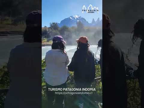 Patagonia Indomia de la emblemática ciudad de Punta Arenas, es epicentro del espíritu...