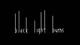 Black Light Burns - Torch From The Sky/Because of You