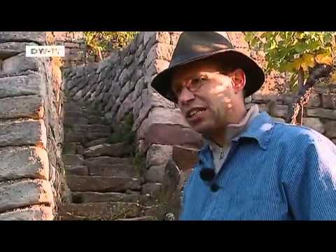 From Vine to Wine - The Sleepest Slope | euromaxx