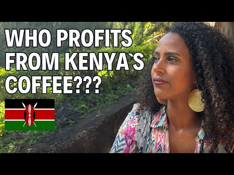 I Visited a Kenyan Coffee Farm – What I Learned Shocked Me!