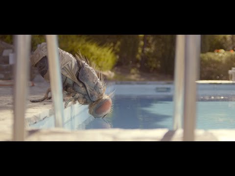 «Жвалы» – трейлер с субтитрами– с 24 июня в кино