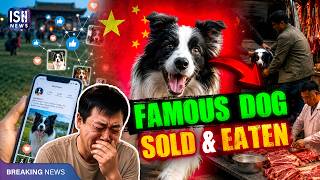 Celebrity Chinese Pet Dog with 1.5 Million Followers Sold to Restaurant and Eaten