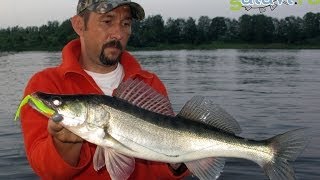 Рыбалка на рыбинском - форум