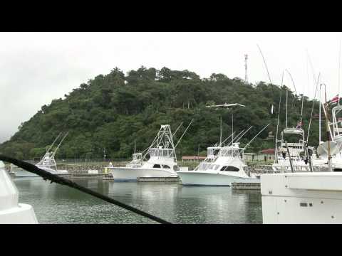 Costa Rica decretó cero tolerancia al aleteo de tiburón