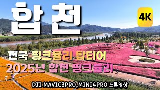 2025년/합천핑크뮬리/가을의시작/4K드론영상