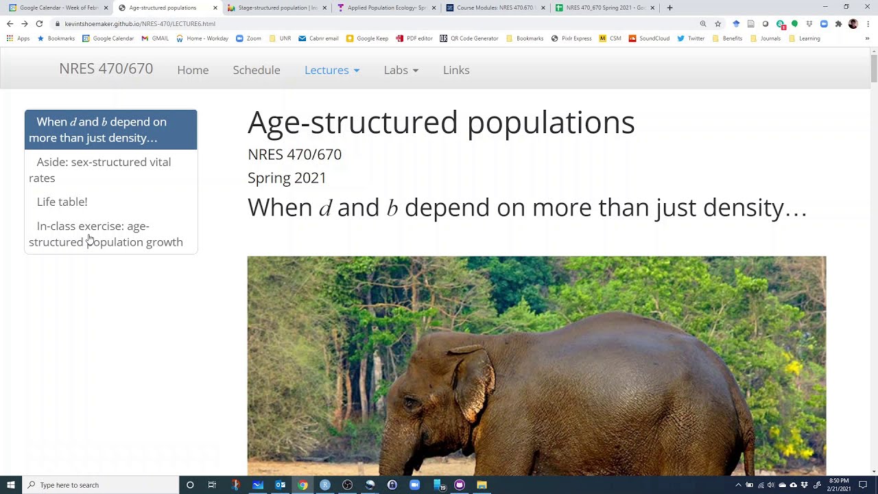 Age structured population demo (Excel and InsightMaker)