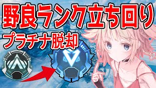 野良プラチナで勝てる『立ち回り』を解説！ダイヤ到達法【Apex】
