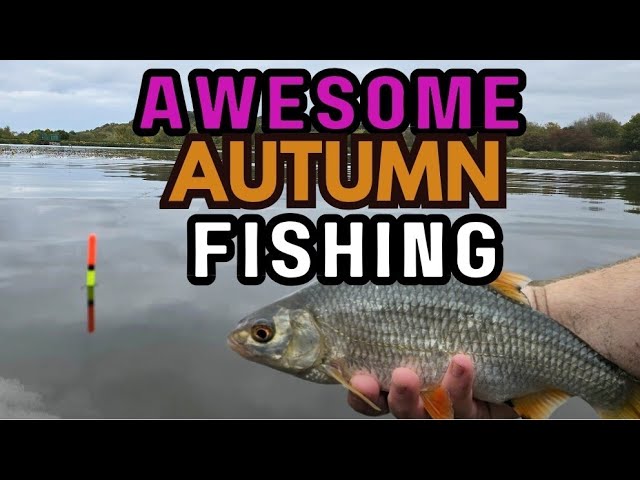 Judge.me YouTube video placeholder