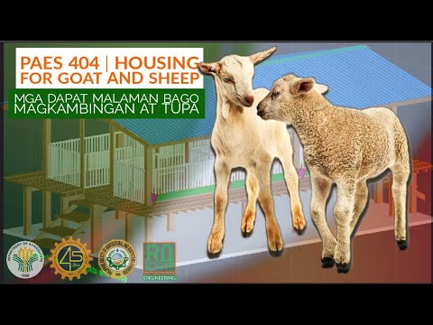 , title : 'PAES 404 | Housing for Goat and Sheep. Mga Dapat Malaman Bago Magkambingan at Tupaan. 🐐 🐑'