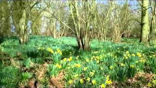 Tu estas aqui Marcela Gandara