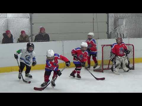 2022.11.20.   U8 Sárga   Szigeti Bikák - RTK Vasló