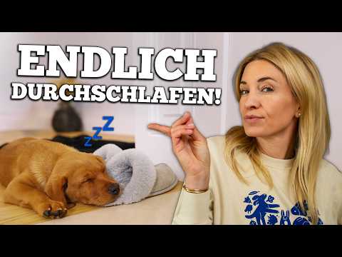 This is how your puppy will sleep through the night! 😴💤