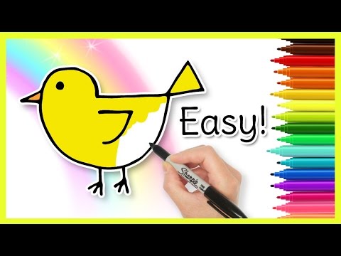 How to Draw a CHICK! Coloring for Kids - YouTube