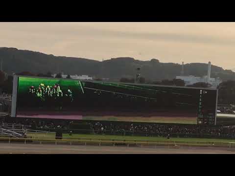 2018.11.25東京競馬ジャパンカップ