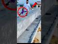 Teddy Kabutar Pakra Building Say Kabootar Pigeonpigeon Bird Pigeon Kbootr Birdspecies Kabuta