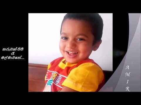 Tharuwak Pipi Gration Ananda