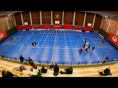 SUDET/PELICANS - LASB P17 SM-SARJA