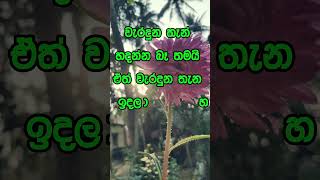 Download lagu නිවන් දකින්න කාලය පැමිණ ඇත. #motivation #love #quotes mp3