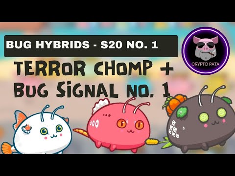 TRIPLE BUG HYBRIDS | TRIPLE TERROR CHOMP + TRIPLE BUG SIGNAL | SEASON 20 NO. 1 | BENCH | 2260MMR