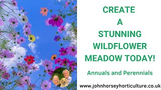 TURN ANY SMALL SPACE INTO A BLOOMING WILDFLOWER HAVEN