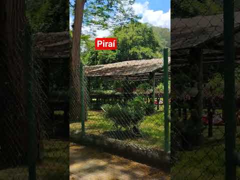 PIRAÍ RJ #motociclismo #motos#interior#turismo #chuvas