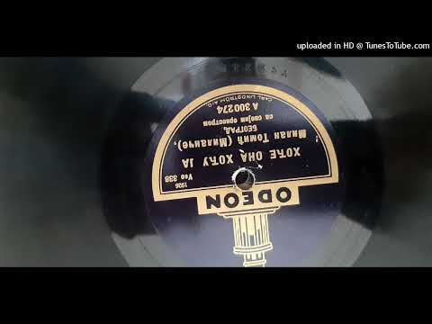 Milan Tomić Milanče - Hoće ona hoću ja