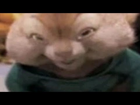 Random memes I permanently borrowed PT.1250