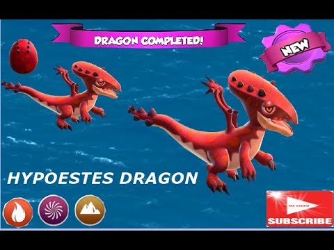 Do You have Hypoestes dragon | Epic Hypoestes Dragon-Dragon Mania legends
