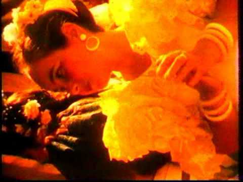 MIchael Brook • Breakdown