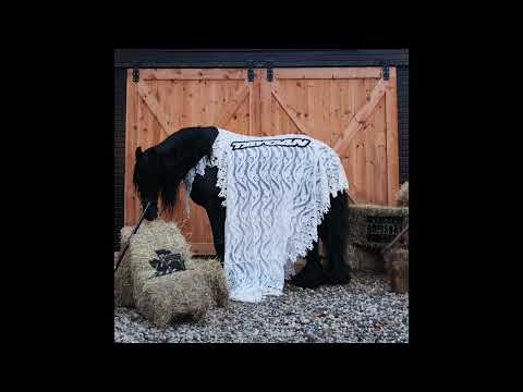 motive - av (Official Audio)