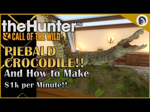 Crocodile Grind Paying Off + Insanely FAST CASH on Emerald Coast!