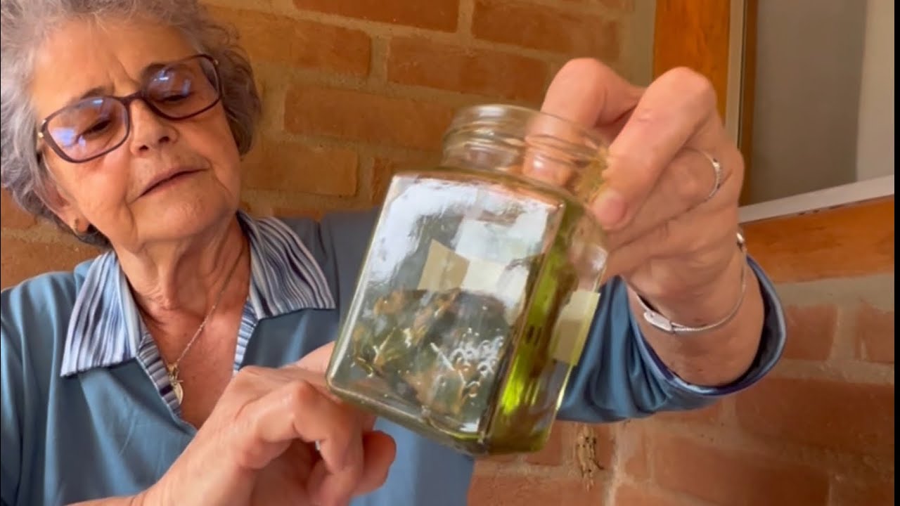 PATA DE VACA SEUS BENEFÍCIOS PARA SAÚDE - COMO FAZER TINTURA  E EXTRATO.