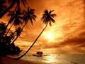 Tikaro&Selva feat Clarence-Miracle of love ...