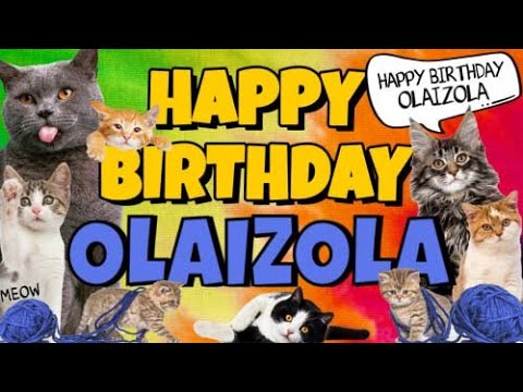 Happy Birthday Olaizola! Crazy Cats Say Happy Birthday Olaizola (Very Funny)